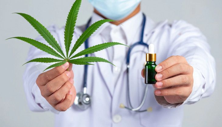 podiumnews.com-Ini Pejelasan Pakar Farmasi Soal Penggunaan Ganja untuk Medis